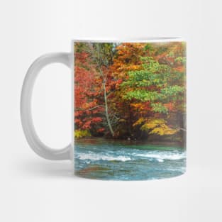 Niagara Falls State Park Mug